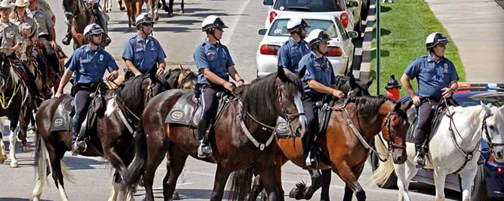 Jackson County Sheriff's Mounted Patrol